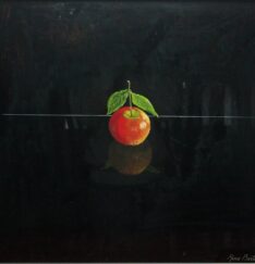 Mela solitaria