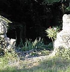 due-guardiani-bertaso-2