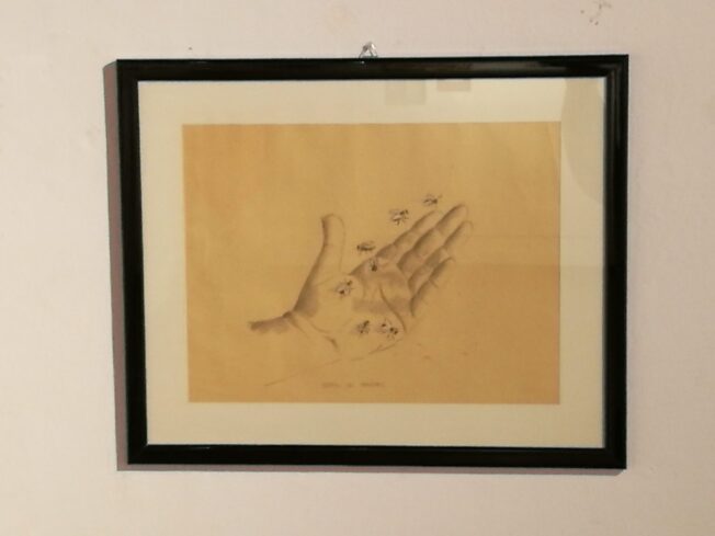 Pugno di Mosche - immagine 2